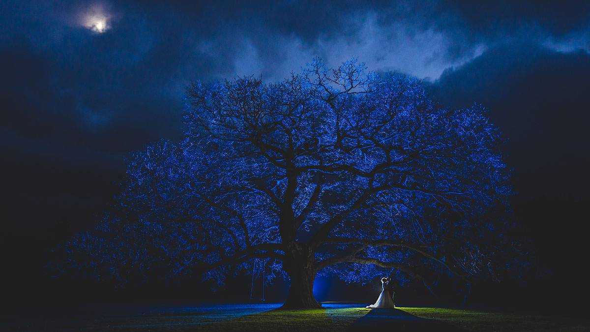 evening wedding photograph in front of oak tree at inn on the lake Ullswater