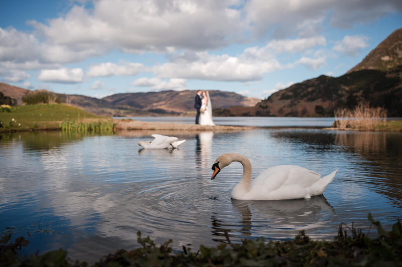 Swans in the foreground with wedding couple in the background on Ullswater at Inn on the Lake