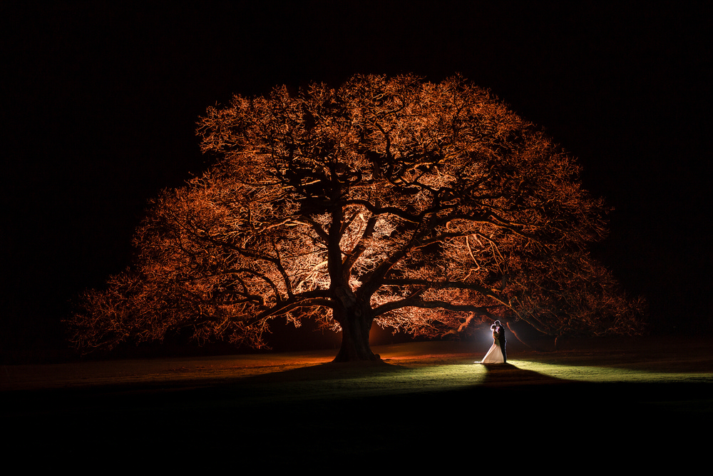 Wedding couple beneath an illuminated tree during a creative night portrait