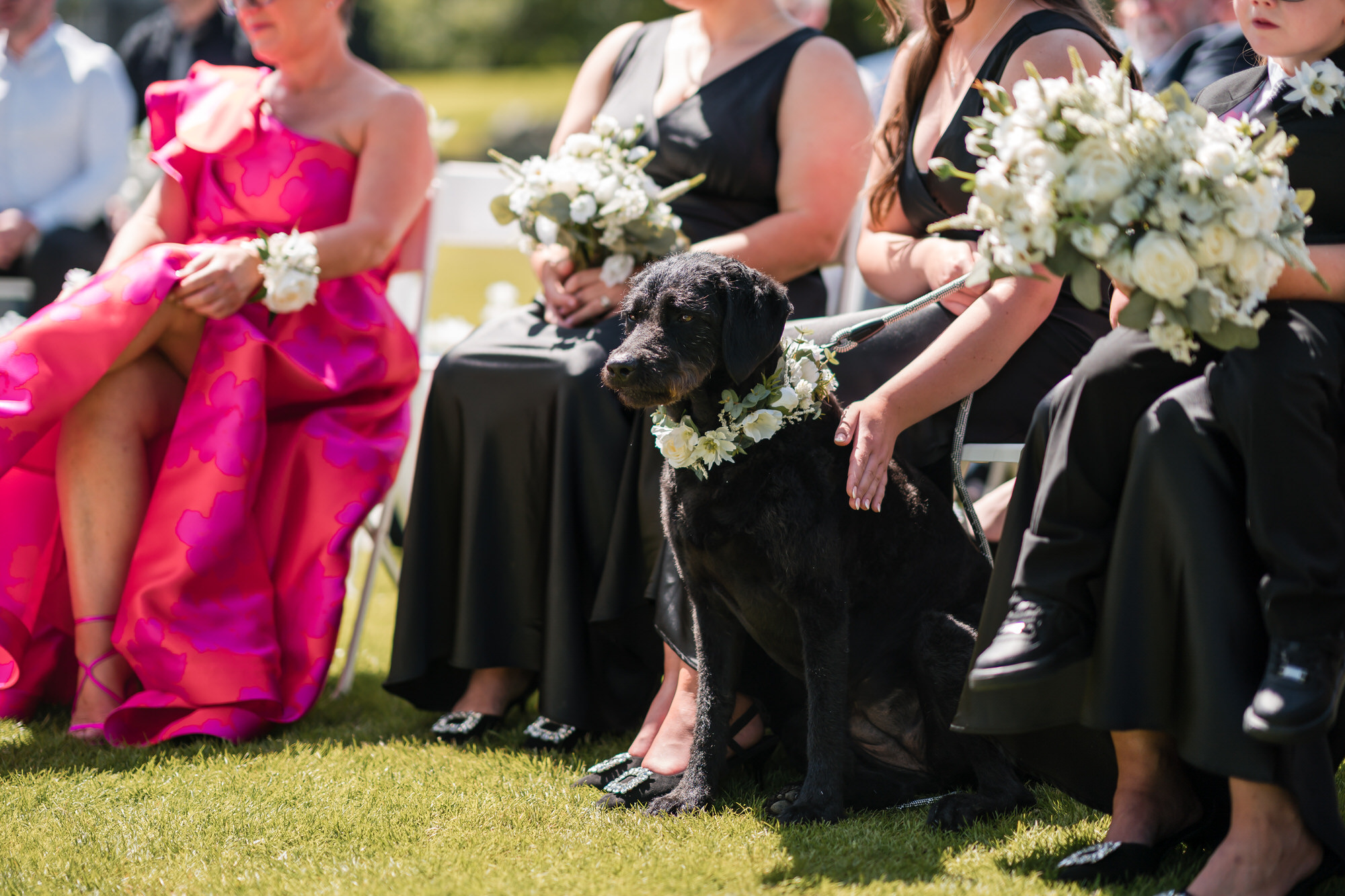 Dan and Amy smiling as Nellie completes her ring-bearer duties