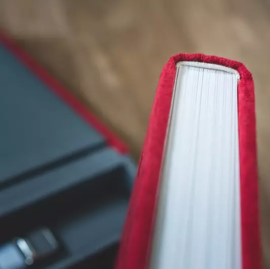 Wedding album spread with panoramic layout