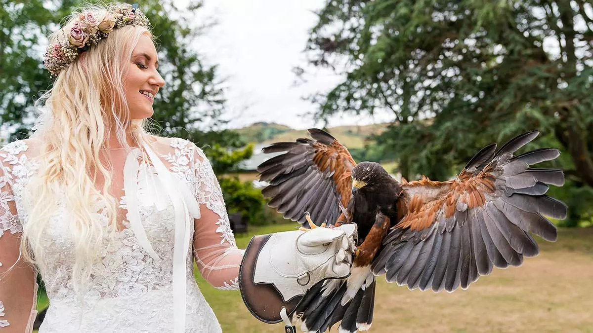 birds of prey landing on brides arm during her wedding birds of prey landing on brides arm during her wedding