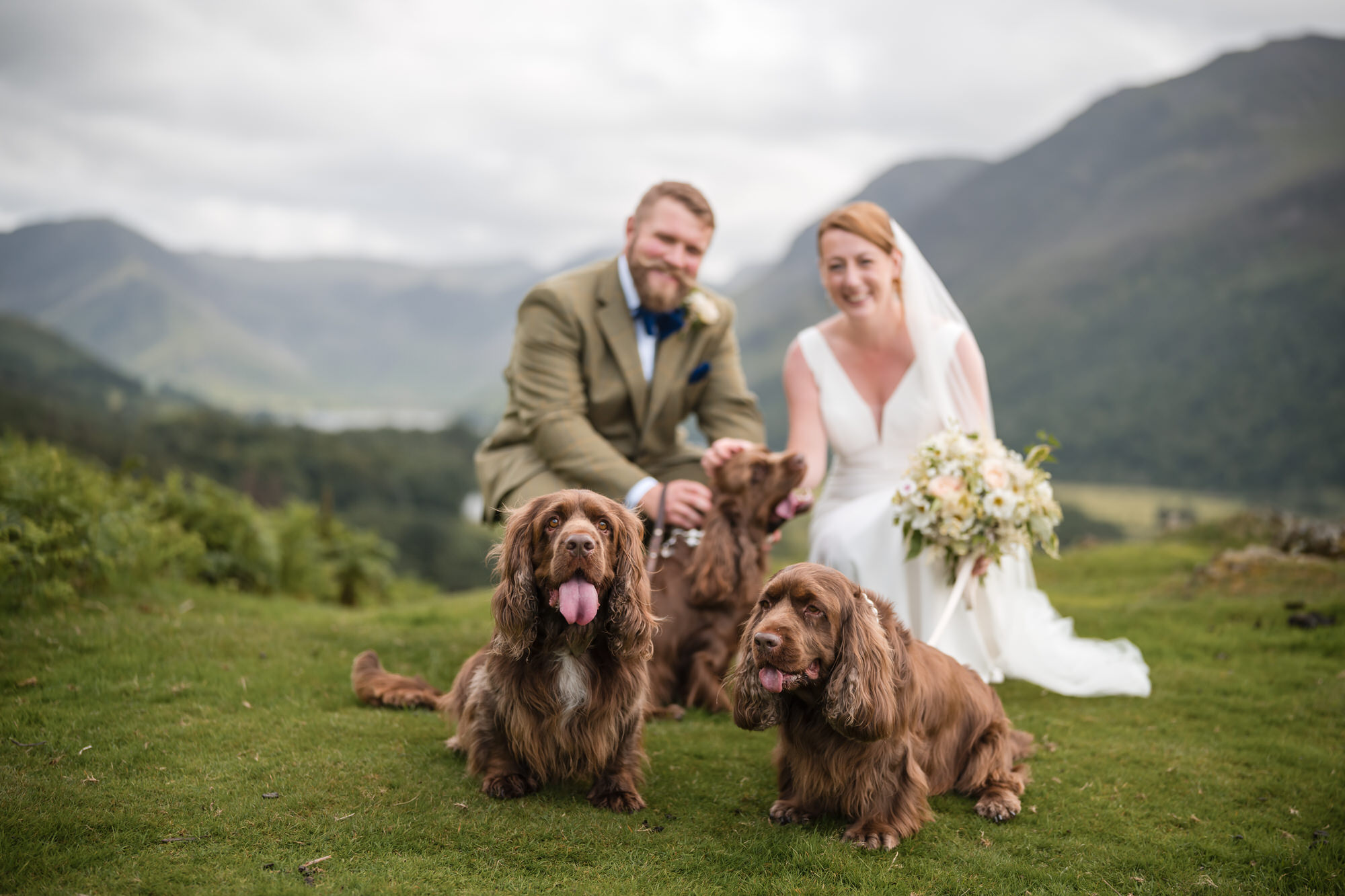 Dog friendly wedding moment at New House Farm in the Lake District