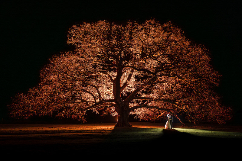 Inn on the Lake oak tree night wedding portrait Night portrait at Inn on the Lake beneath illuminated oak tree