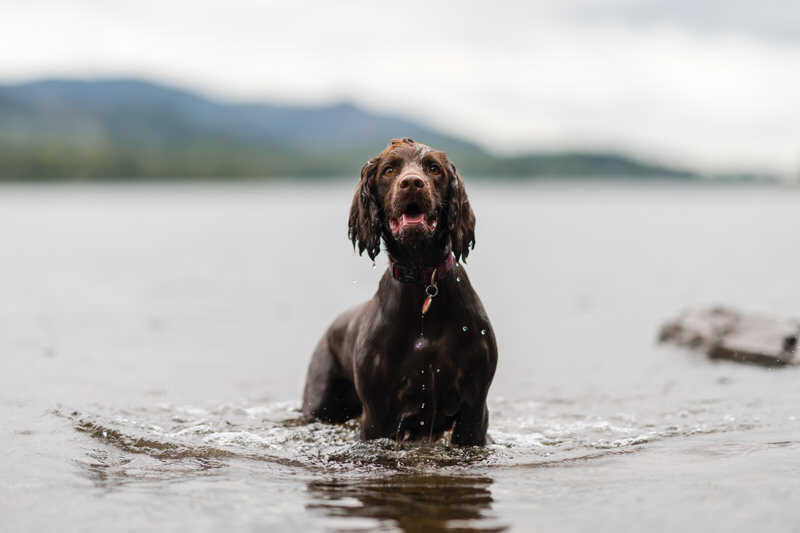 Relaxed pre-wedding photography in the Lake District