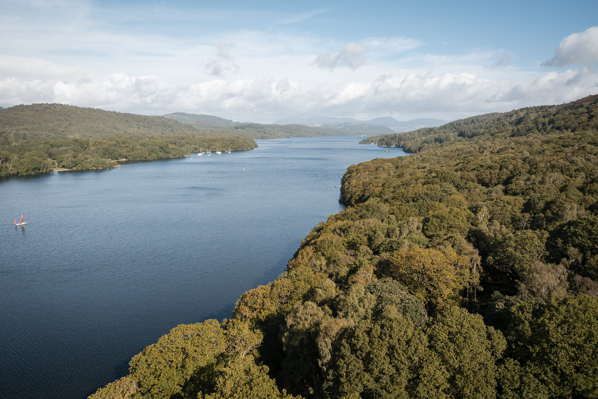 Windermere and the wooded shoreline beside Town Head Estate