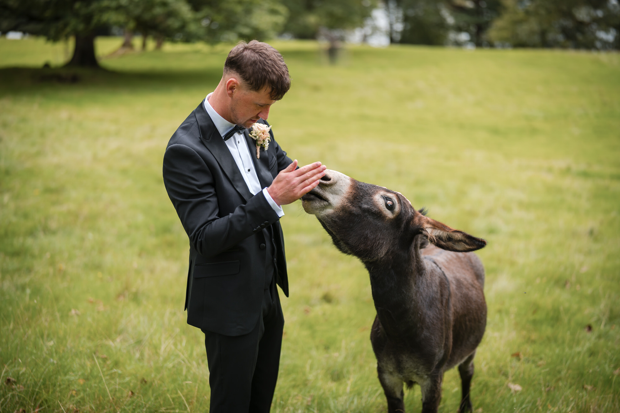 Dan meeting Eddie the donkey on the Town Head Estate grounds