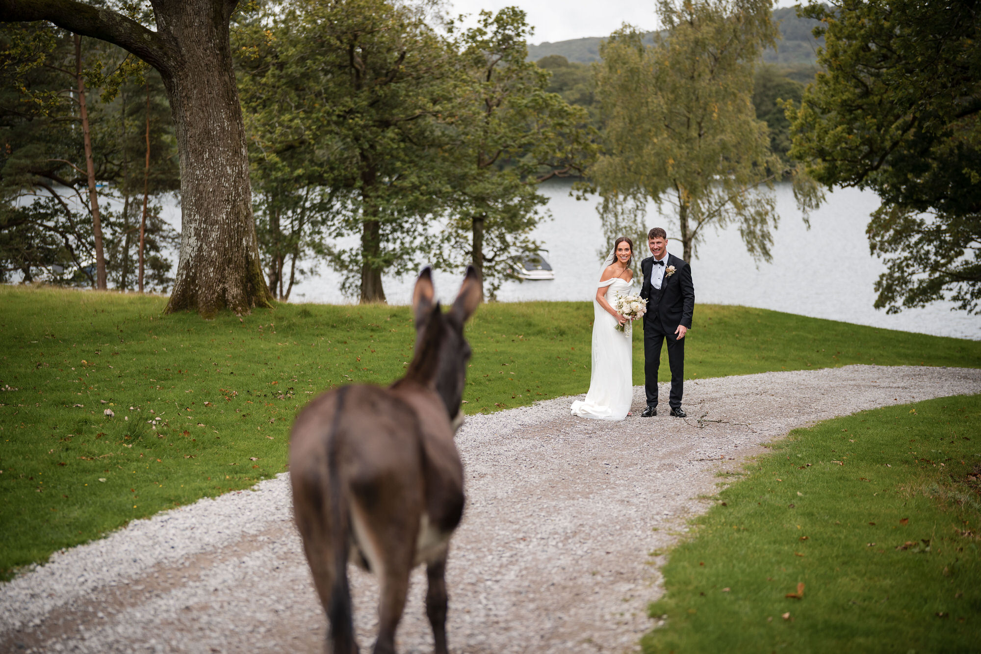 Eddie the donkey watching Dan and Ellie beside Windermere